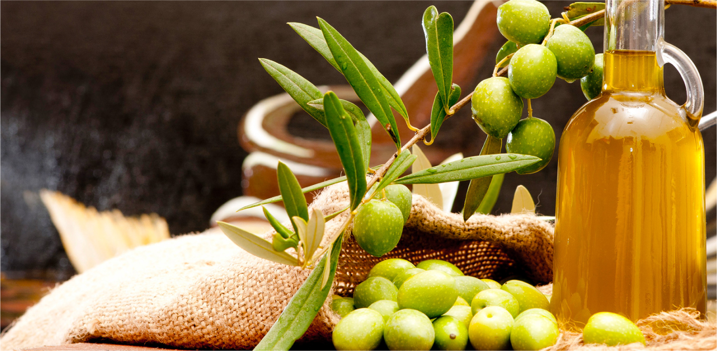 Olive harvest